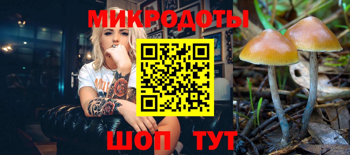 Псилоцибиновые грибы MAGIC MUSHROOMS  Вход с VPN  Галлюциногенные грибы Psilocybe  Кулебаки 