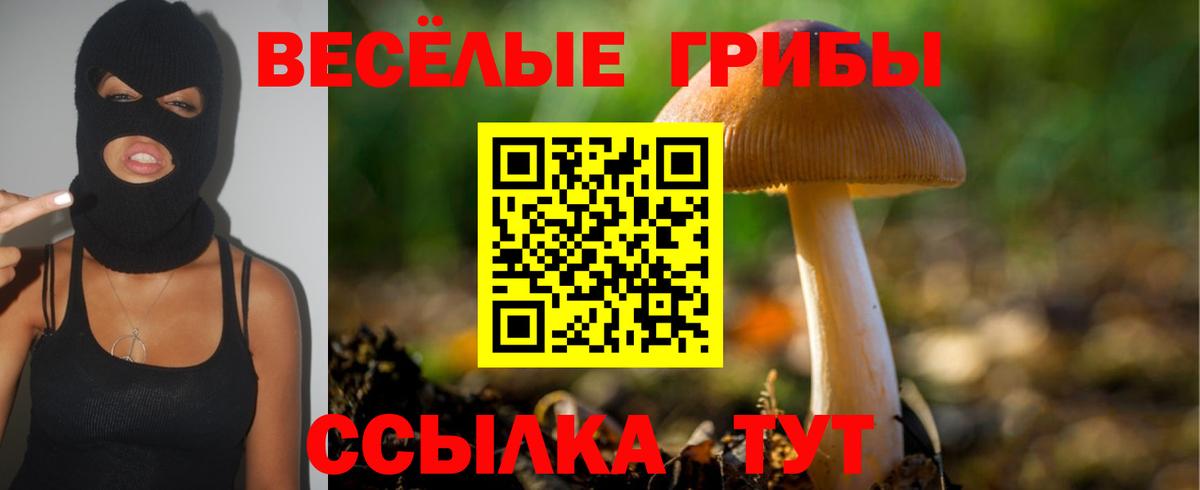 Псилоцибиновые грибы ЛСД Кулебаки